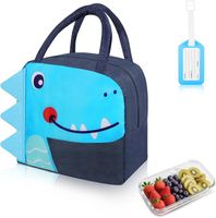 Aucuu torba na lunch dla chłopców izolowana dinozaur przenośne pudełko z kreskowym wzorem składane torby chłodzące wielokrotnego użytku