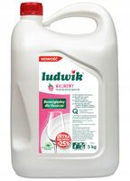 Płyn do mycia naczyń Ludwik Malinowy 5 l