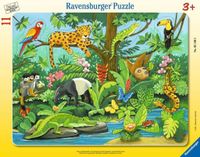Puzzle RAVENSBURGER Co tu pasuje?: Zwierzęta lasu deszczowego 5140 (11 elementów)
