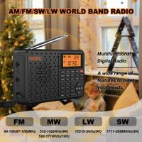 Radio przenośne XHDATA D-109 Stereo cyfrowy