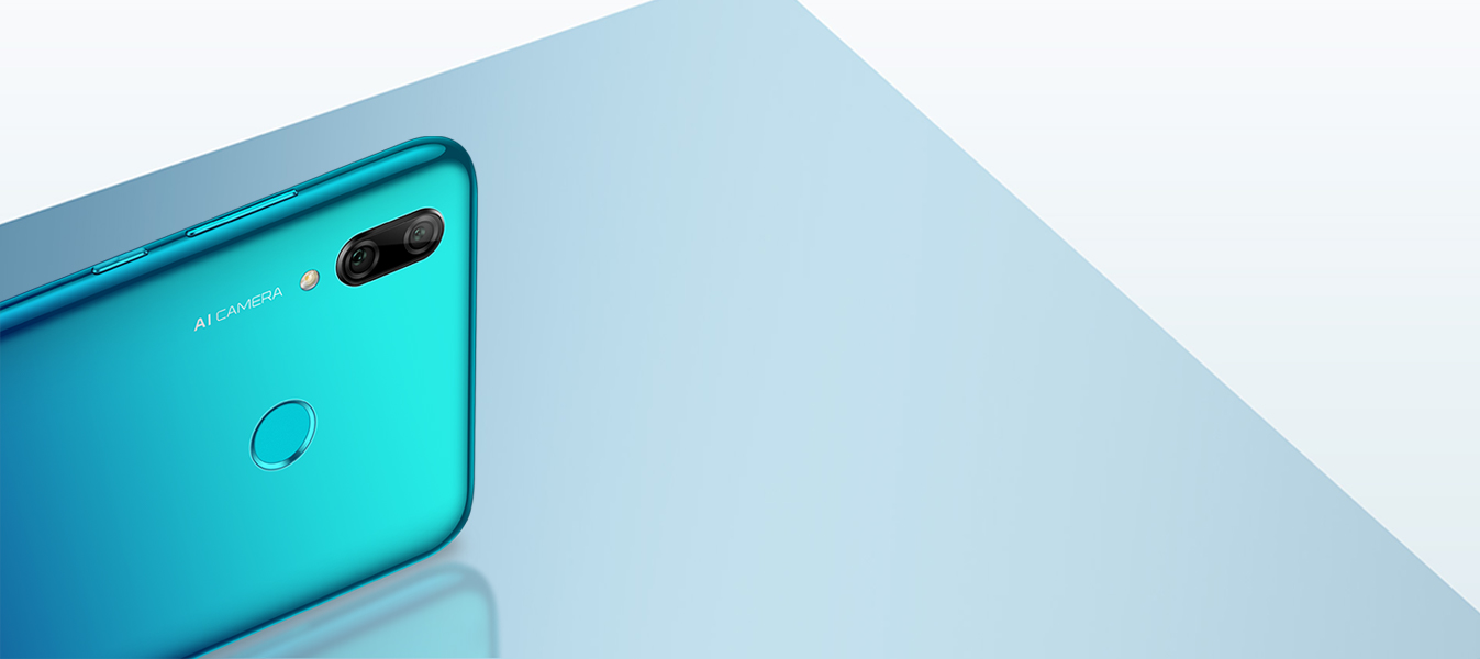 Dual AI Camera