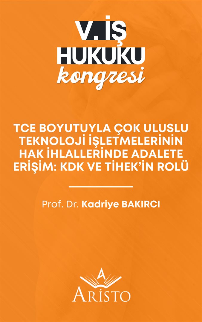 TCE Boyutuyla Çok Uluslu Teknoloji İşletmelerinin Hak İhlallerinde Adalete Erişim: KDK ve TİHEK’in Rolü