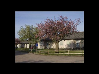 Bild 1. Lägenhet, Pionvägen, Falkenberg 