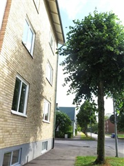 Photo 1. Apartment, Strömgatan, Ljungby 