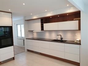 Photo 1. House, kollegievägen, Lund