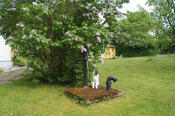 Centralparken - Projektet