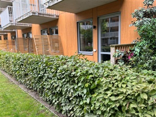 Photo 1. Apartment, Grepgatan, Helsingborg 