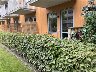 Photo 1. Apartment, Grepgatan, Helsingborg 