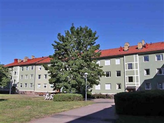 Bild 5. Lägenhet, Skräddaregatan, Linköping 