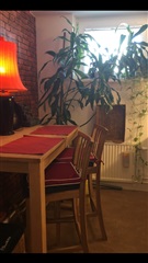 Photo 1. Room, Solskensgatan, Uppsala