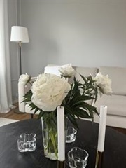 Bild 1. Lägenhet, Forskningsringen, Sundbyberg 