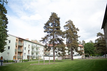 Photo 1. Apartment, Oxtorgsgatan, Eksjö 