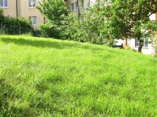 Photo 7. Apartment, , Stockholm 