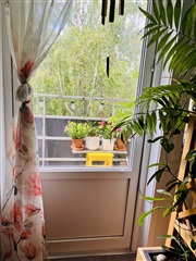 Bild 12. Bostad att dela, Studiegången, Göteborg 