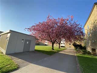 Photo 1. Apartment, Pilgården, Landskrona 