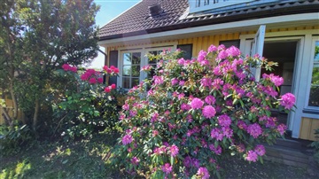 Bild 9. Hus/villa, , Enköping 