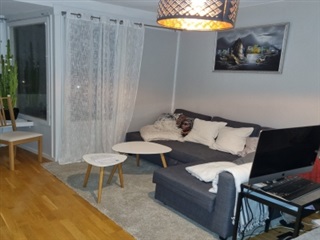 Photo 3. Room, Johannesbäcksgatan, Uppsala 