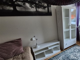 Bild 3. Rum, Älby, Björklinge 