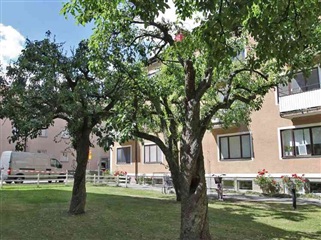 Bild 5. Lägenhet, Hjälmgatan, Linköping 