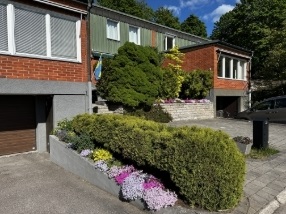 Bild 1. Hus/villa, Södra Vägen, Linköping 