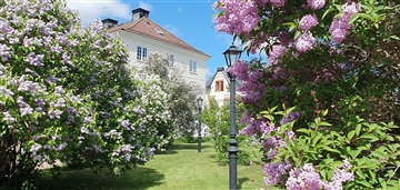 Bild 1. Lägenhet, Södra Esplanaden, Tierp 