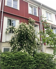 Bild 9. Hus/villa, , Stockholm 