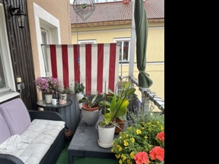 Bild 7. Rum, Salagatan, Uppsala 