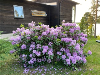 Bild 11. Hus/villa, Sjöviksvägen, Norrtälje 