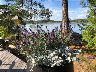 Bild 5. Hus/villa, Sjöviksvägen, Norrtälje 