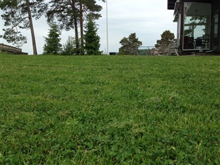Bild 32. Hus/villa, Sjöviksvägen, Norrtälje 