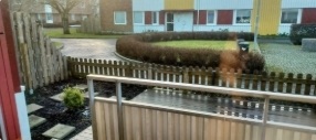 Photo 1. Apartment, Lillekärr Norra, Hisings Kärra 
