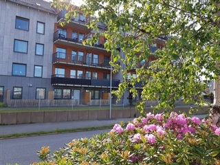 Photo 4. Apartment, Bergslenagatan, Borås 