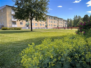 Bild 1. Lägenhet, Hedhamregatan, Bollnäs 