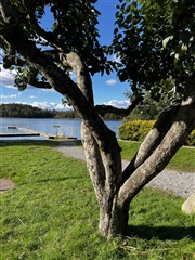 Photo 2. Apartment, Näsbydalsvägen, Täby 