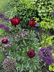 Photo 15. House, Gläntevägen, Höllviken