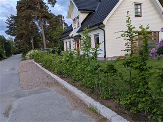Photo 2. House, Bergsbrunna Villaväg, Uppsala