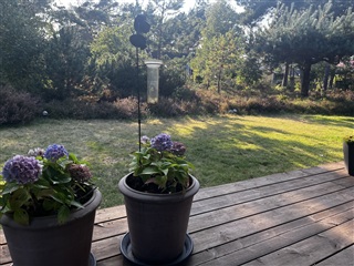 Photo 16. House, Gläntevägen, Höllviken