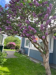 Photo 1. House, , Göteborg 