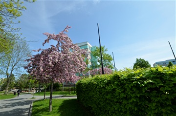 Photo 1. Apartment, kärrhöksgatan, Jönköping 