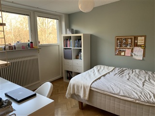 Photo 10. House, nehrmans väg, Lund 