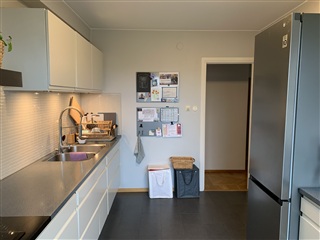 Photo 17. House, nehrmans väg, Lund 