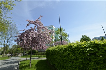 Photo 1. Apartment, kärrhöksgatan, Jönköping 