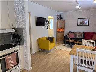 Bild 3. Hus/villa, Ringvägen, Blattnicksele 