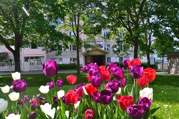 Bild 1. Lägenhet, Havsörnsgatan, Jönköping 