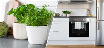 Photo 4. Apartment, Malcusgatan, Halmstad 