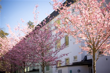 Photo 1. Apartment, Oddergatan, Katrineholm 