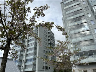 Photo 1. Apartment, Kryddhyllan, Angered 