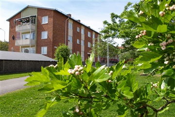 Bild 1. Lägenhet, Läroverksgatan, Bollnäs 