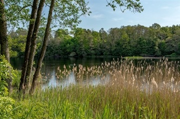 Photo 5. Apartment, Tegelbruksvägen, Halmstad 