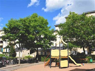 Bild 7. Lägenhet, Kungsgatan, Linköping 